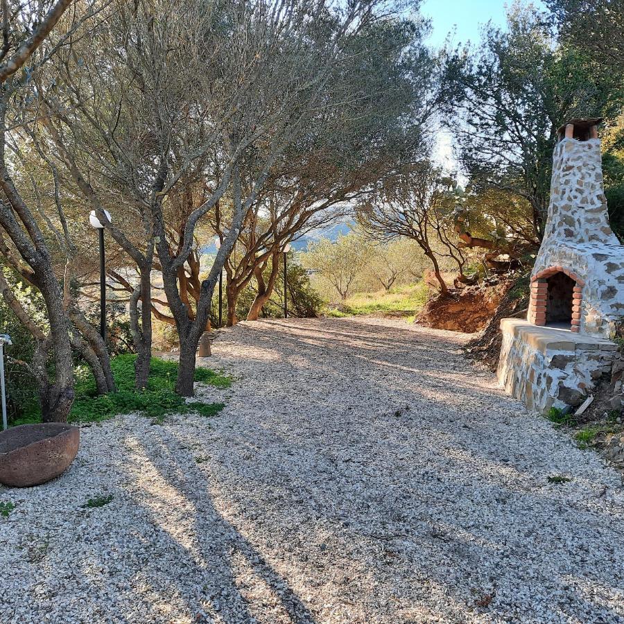 Hotel Valle Del Cedrino กัลเตลลิ ภายนอก รูปภาพ